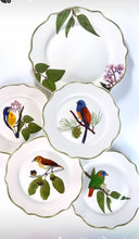 Load image into Gallery viewer, Ibon Collections Dinner and Salad Plates Set of 4