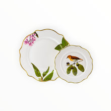 Load image into Gallery viewer, Ibon Dinner and Salad Plates Set of 4