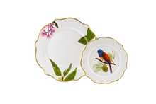 Load image into Gallery viewer, Ibon Dinner and Salad Plates Set of 4