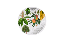 Load image into Gallery viewer, Philippine Mango Trivet