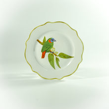 Load image into Gallery viewer, Ibon Collections Dinner and Salad Plates Set of 4