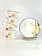 Load image into Gallery viewer, Philippine Handsome Sunbird Cups and Saucers Set of 4