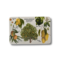 Load image into Gallery viewer, Philippine Mango Trinket Dish in a Kraft Box