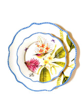 Load image into Gallery viewer, Philippine Handsome Sunbird Dinner and Salad Plate Set of 4