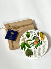 Load image into Gallery viewer, Philippine Mango Trivet
