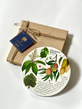Load image into Gallery viewer, Philippine Mango Trivet
