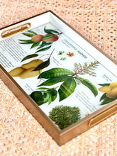 Load image into Gallery viewer, Philippine Mango  Serving Tray
