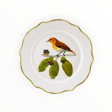 Load image into Gallery viewer, Ibon Dinner  and  Salad Plates  Set of 4
