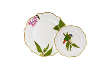 Load image into Gallery viewer, Ibon Dinner  and  Salad Plates  Set of 4
