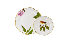 Load image into Gallery viewer, Ibon Dinner  and  Salad Plates  Set of 4
