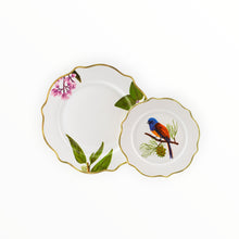 Load image into Gallery viewer, Ibon Dinner  and  Salad Plates  Set of 4
