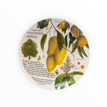 Load image into Gallery viewer, Philippine Mango Salad Plate (per piece)
