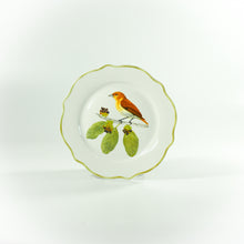 Load image into Gallery viewer, Ibon Collections  Dinner and Salad Plate Set 4
