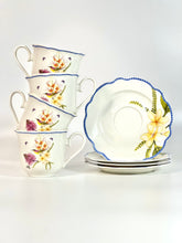 Load image into Gallery viewer, Philippine Handsome Sunbird Cups and Saucers Set of 4
